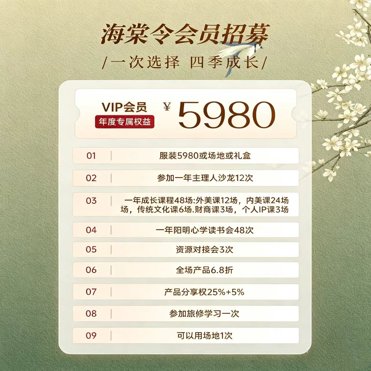 5980 VIP会员套餐